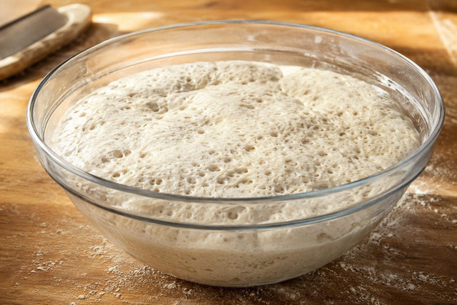 Biga de pâte à pizza fermentée et pleine de bulles dans un saladier