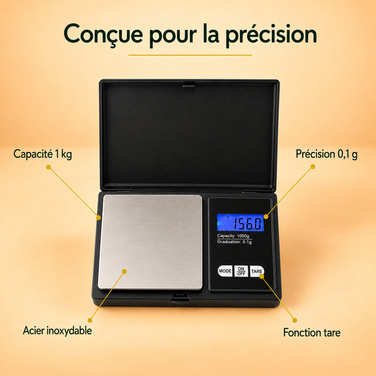 Caractéristiques de la balance de précision : capacité 1 kg, précision 0,1 g, plateau en acier inoxydable, fonction tare